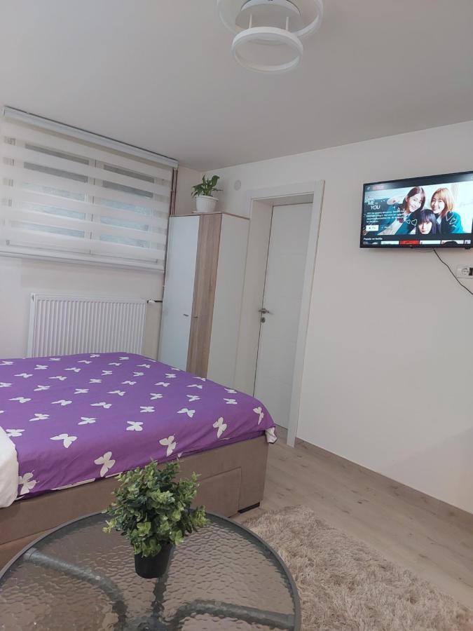 Apartman Zivkovic Leskovac  Exterior photo